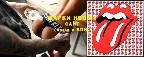 шишки Балахна