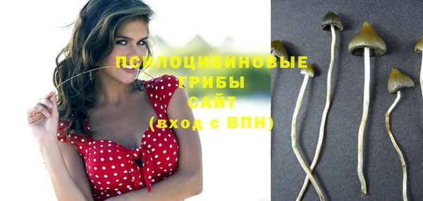 ECSTASY Балабаново